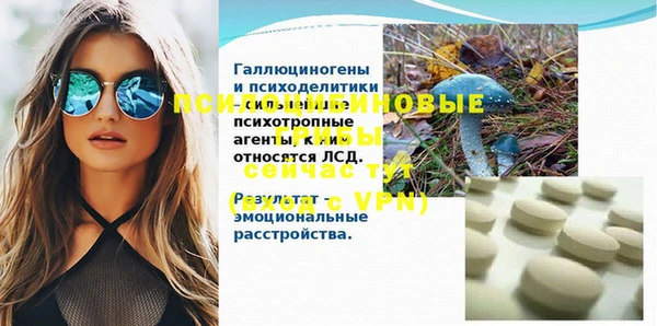 герыч Бронницы