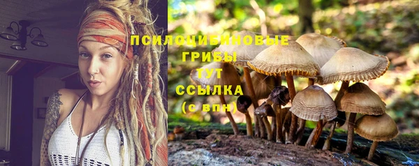 прущая мука Бугульма